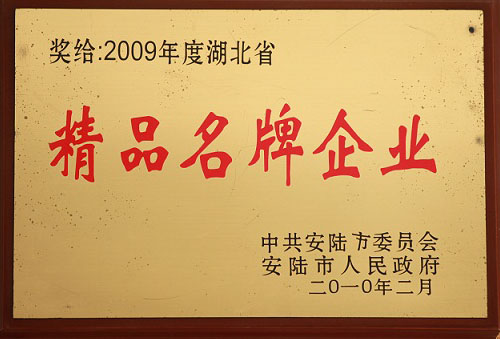 精品名牌企業(yè)2009